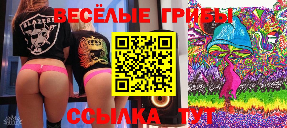 Псилоцибиновые грибы Magic Shrooms Сосновый Бор