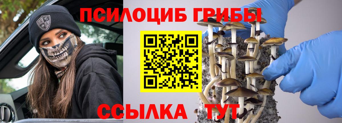 Галлюциногенные грибы мицелий  Вход с VPN  Галлюциногенные грибы Magic Shrooms  Сосновый Бор 